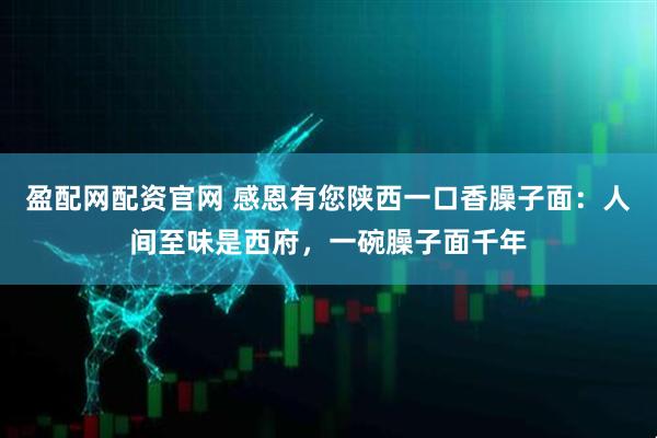 盈配网配资官网 感恩有您陕西一口香臊子面：人间至味是西府，一碗臊子面千年